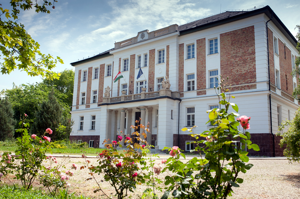 AMK F &eacute;p&uuml;let