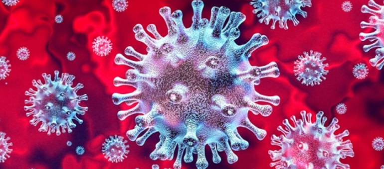koronavirus 2 24229