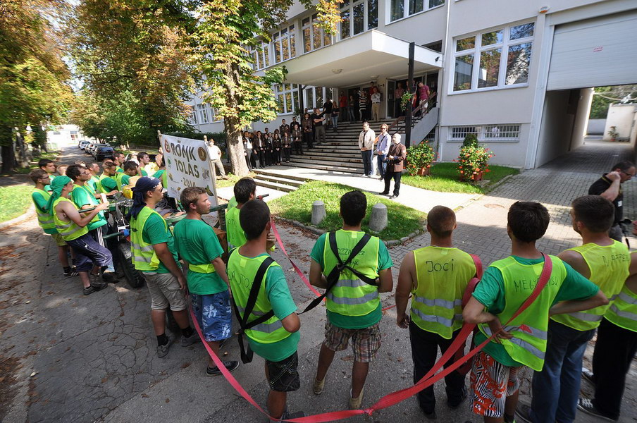 A rönk megérkezett